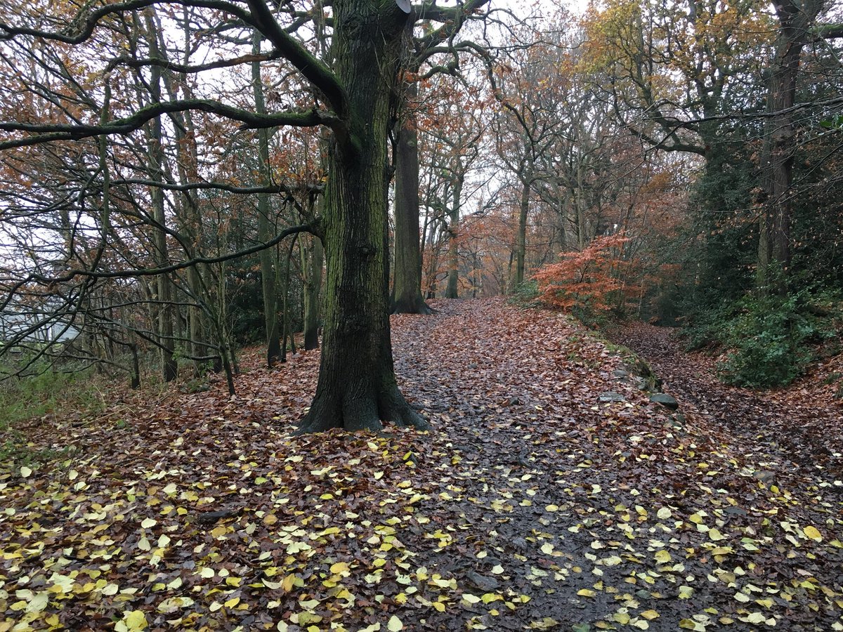LowAshPrimary1's tweet photo. Year 1 outdoor learning today at Hirst Wood  #OutdoorLearning #Primaryschool #LowAsh https://t.co/KnIcHwXitq