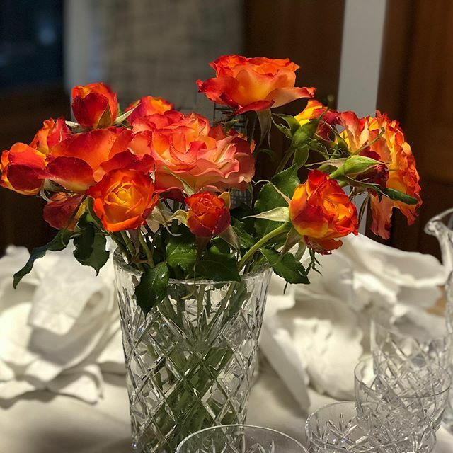 judevachre's tweet photo. Early morning pick of my tequila sunrises as a part of the table setting.Have rustled up all the linen and crystal I could find for a special ceremony in our garden later today https://t.co/EnR2GSP88l https://t.co/0HckpHeHFc
