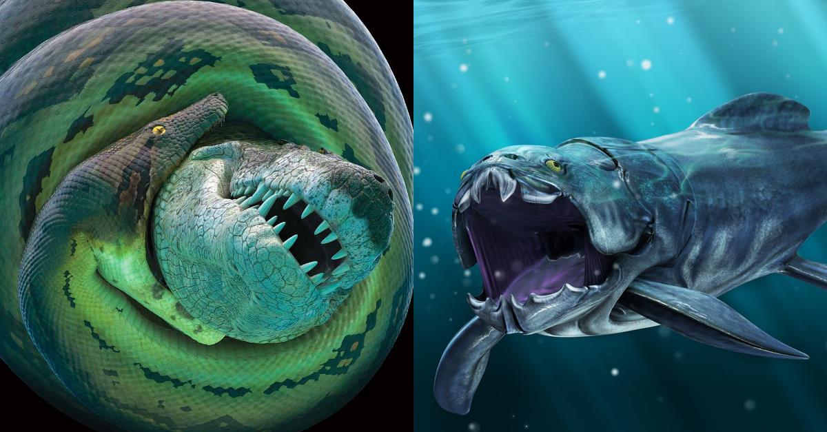 Ces 17 créatures effrayantes aujourd'hui éteintes maxisciences.com/creature/ces-1…