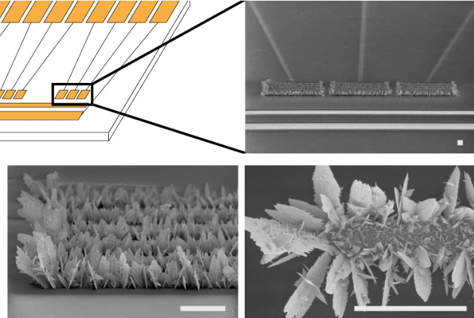 Cell-free synthetic biology can now directly interact with computers nature.com/articles/s4155…