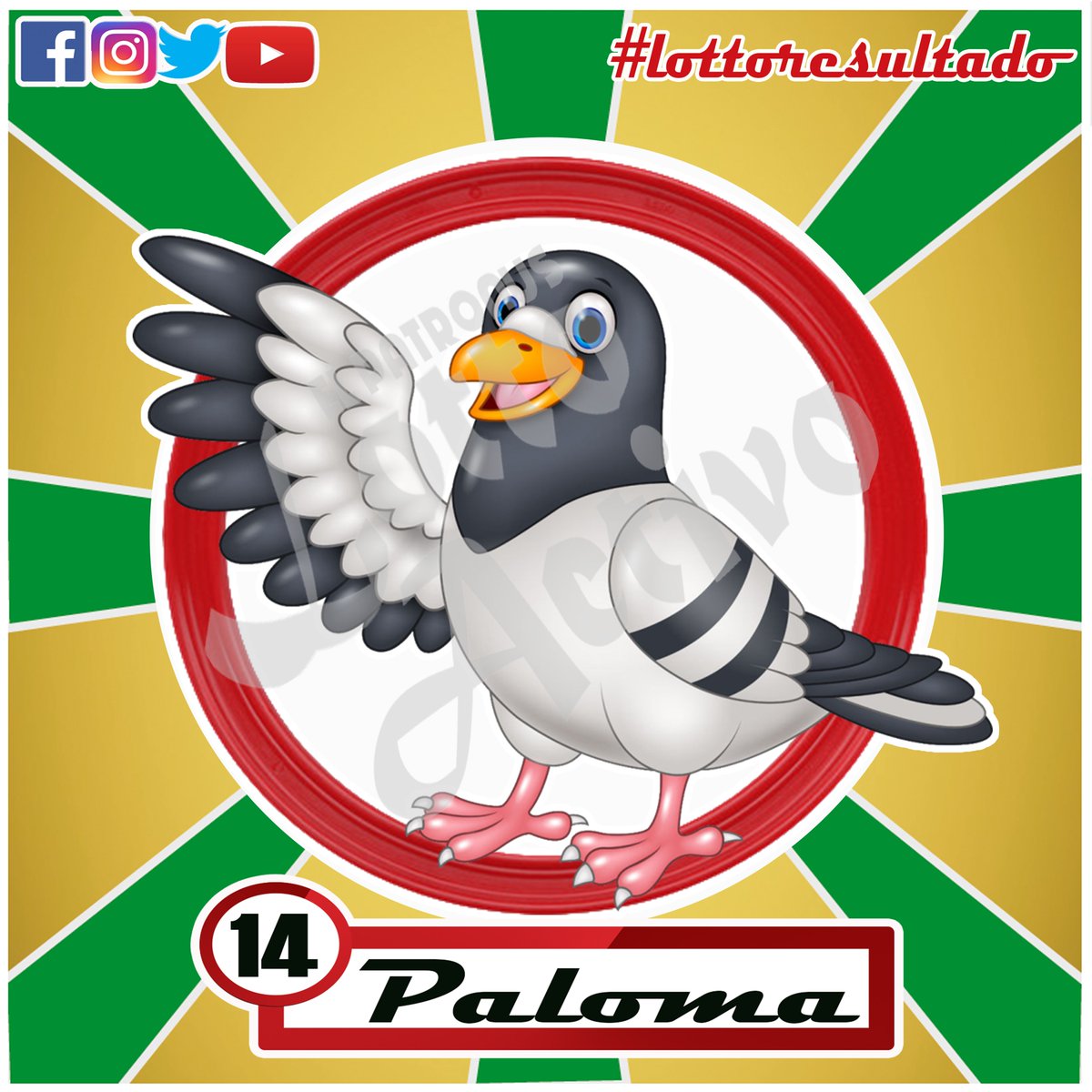 Resultado Sorteo
3:00 PM
25/11/2019
14 - PALOMA
lottoactivo.com