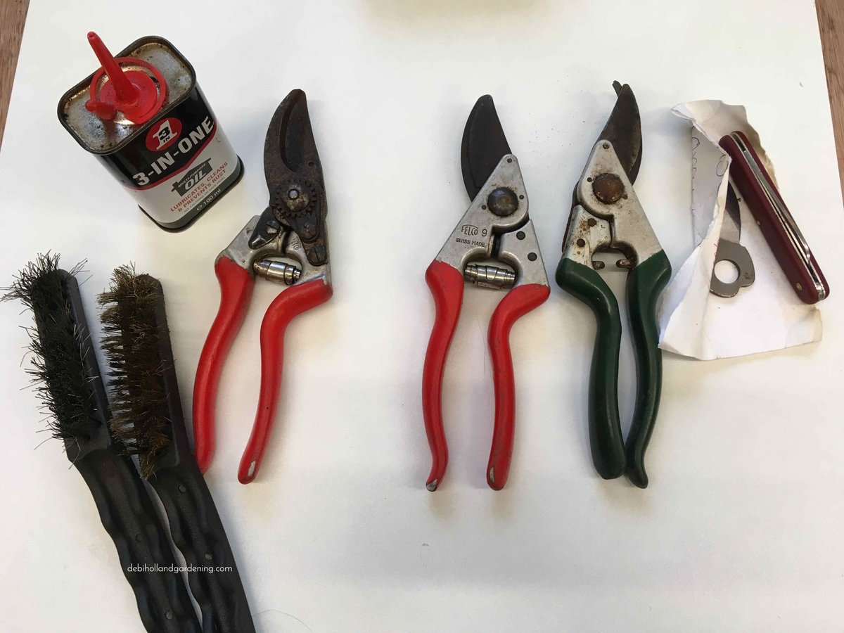 DHgardening's tweet image. Back in January I wrote a piece about renovating yr @FELCO_tools well it is THAT time of year again. Here's a few #gardeningtips tips to clean up yr #felco #secateurs &amp;amp; bring them back to their former glory #gardentools debihollandgardening.com/single-post/20… #DIY #tools #gardener #gardenerslife