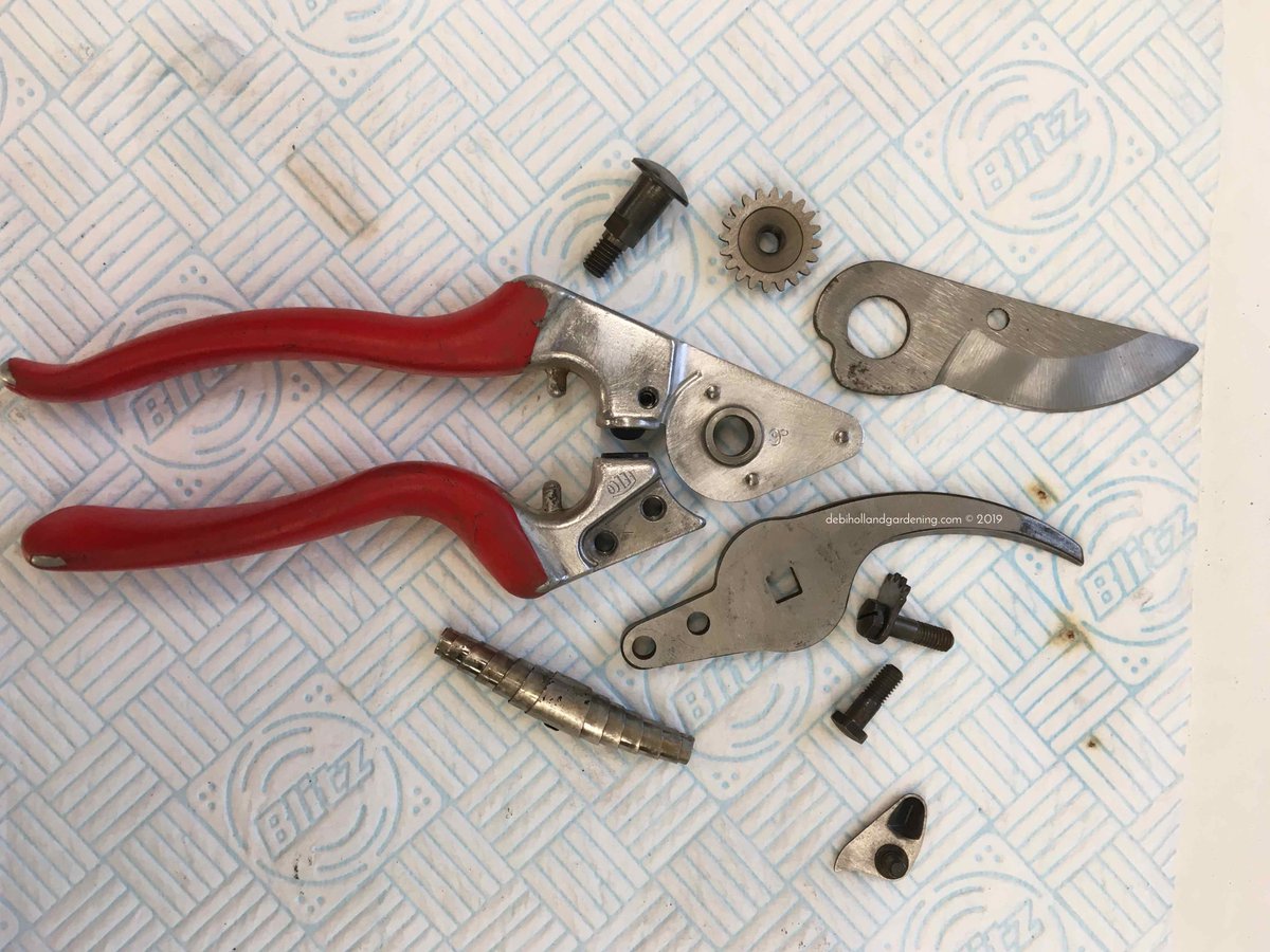 DHgardening's tweet image. Back in January I wrote a piece about renovating yr @FELCO_tools well it is THAT time of year again. Here's a few #gardeningtips tips to clean up yr #felco #secateurs &amp;amp; bring them back to their former glory #gardentools debihollandgardening.com/single-post/20… #DIY #tools #gardener #gardenerslife