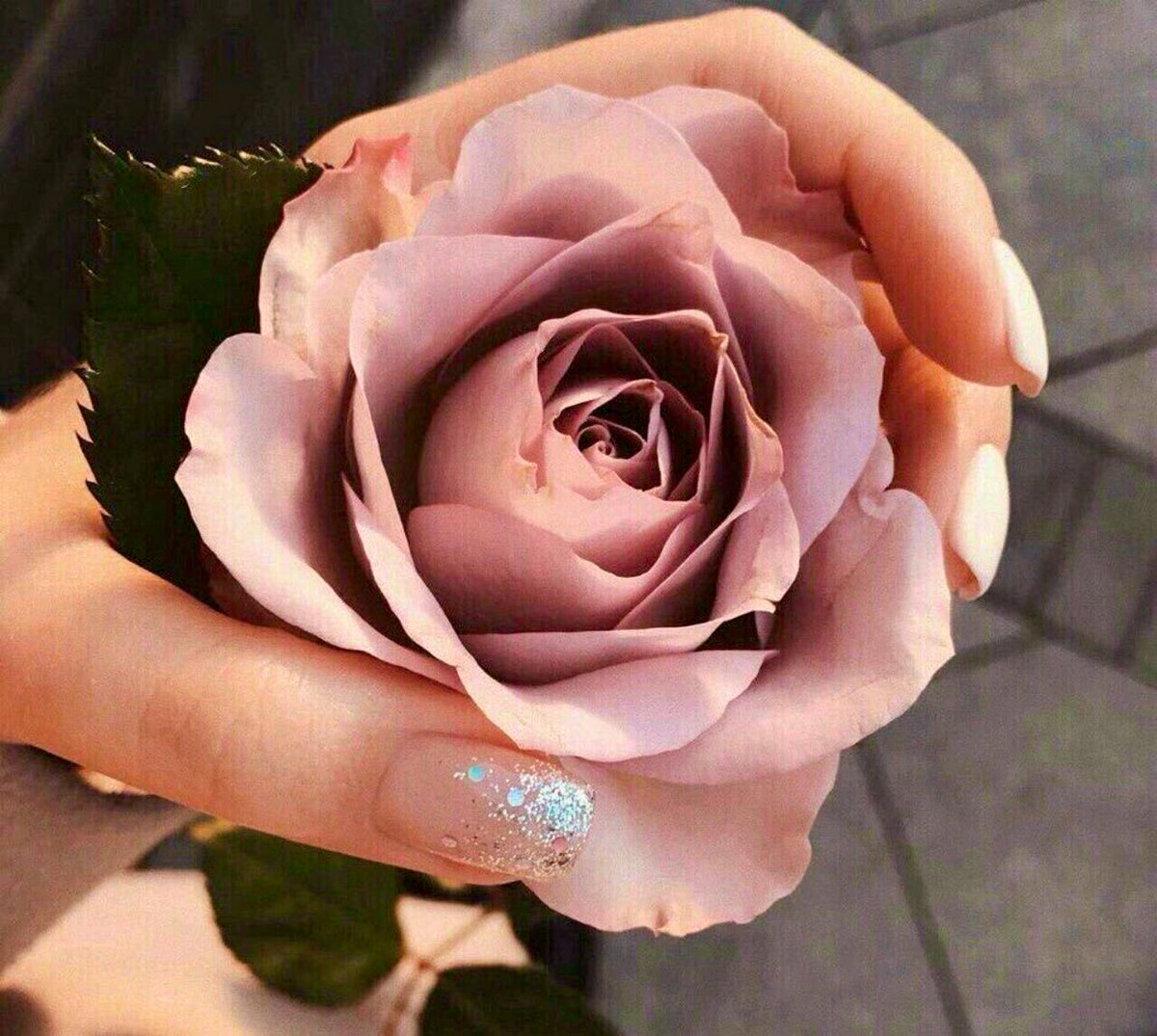 _Basmt_'s tweet photo. يقول اخاف اذا ( عطيتك ) غرامي
تذبحني الغيره وانا غيرتي ، فـرض
.واقول أنا لا عطيت شخص اهتمامي
أشوفه لحاله على ( كوكب ) الارض !

🎼🦋 https://t.co/y0XcwEkip6