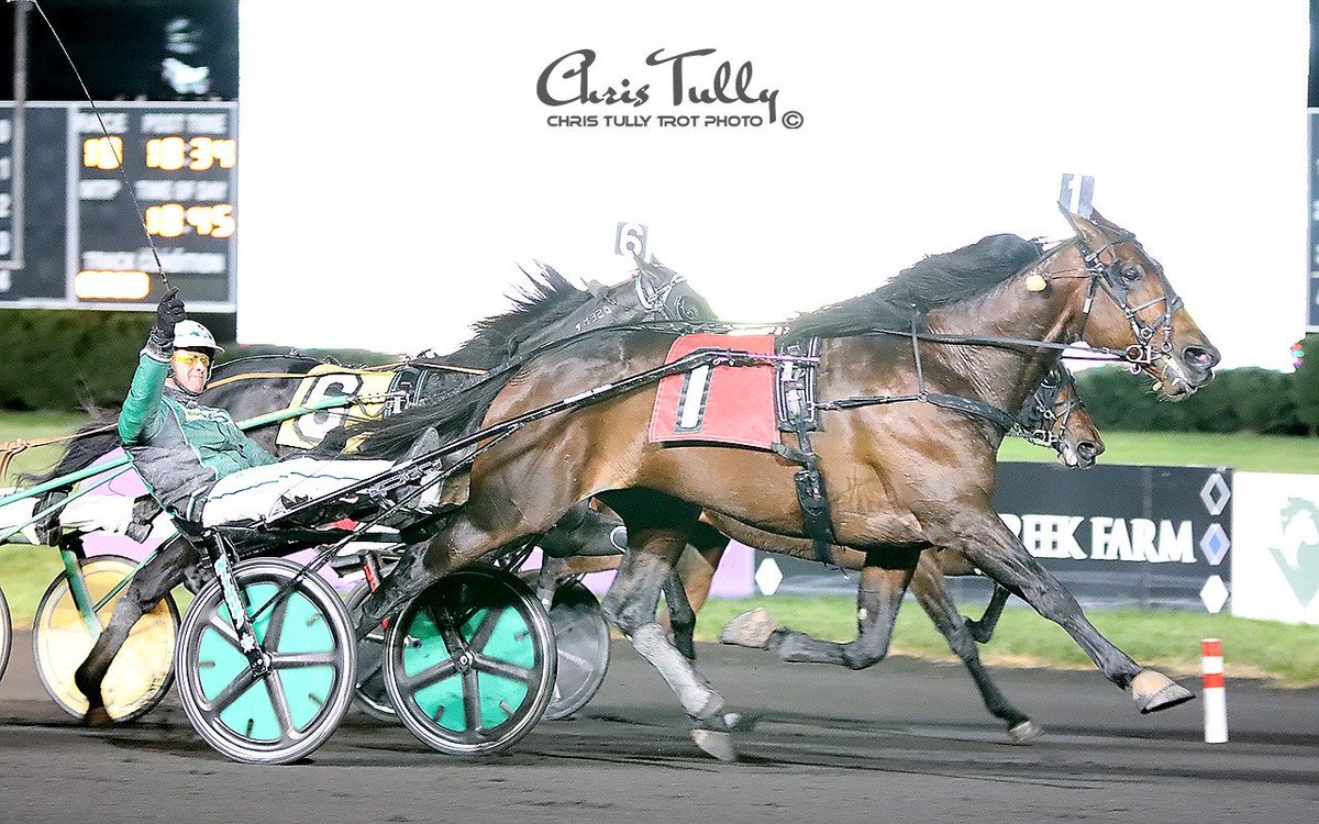 TheMeadowlands's tweet photo. Happy retirement SIX PACK💚 #playbigm

retirement tribute video> 
https://t.co/BTIELvSEbg

photo by Chris Tully https://t.co/VIdjPccezQ