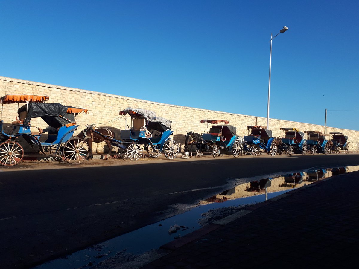 LetsGo2Morocco's tweet photo. I just love reflections and this rain puddle was perfectly placed to capture the horse drawn taxis in #Essaouira #Morocco #traveltomorocco https://t.co/V44KQ1ZyOb