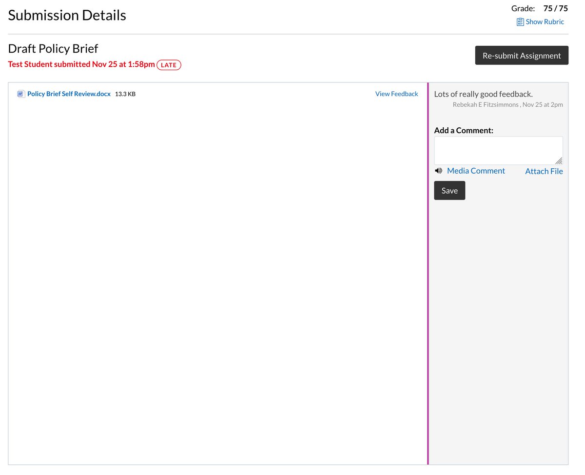 Now if a diligent student in Gradebook clicks on the name of the assignment or in Assignments click on "submission details" they get taken to a window with a comically tiny link to "View Feedback."  Why not have the feedback just pop here in this ENORMOUS EMPTY SPACE?