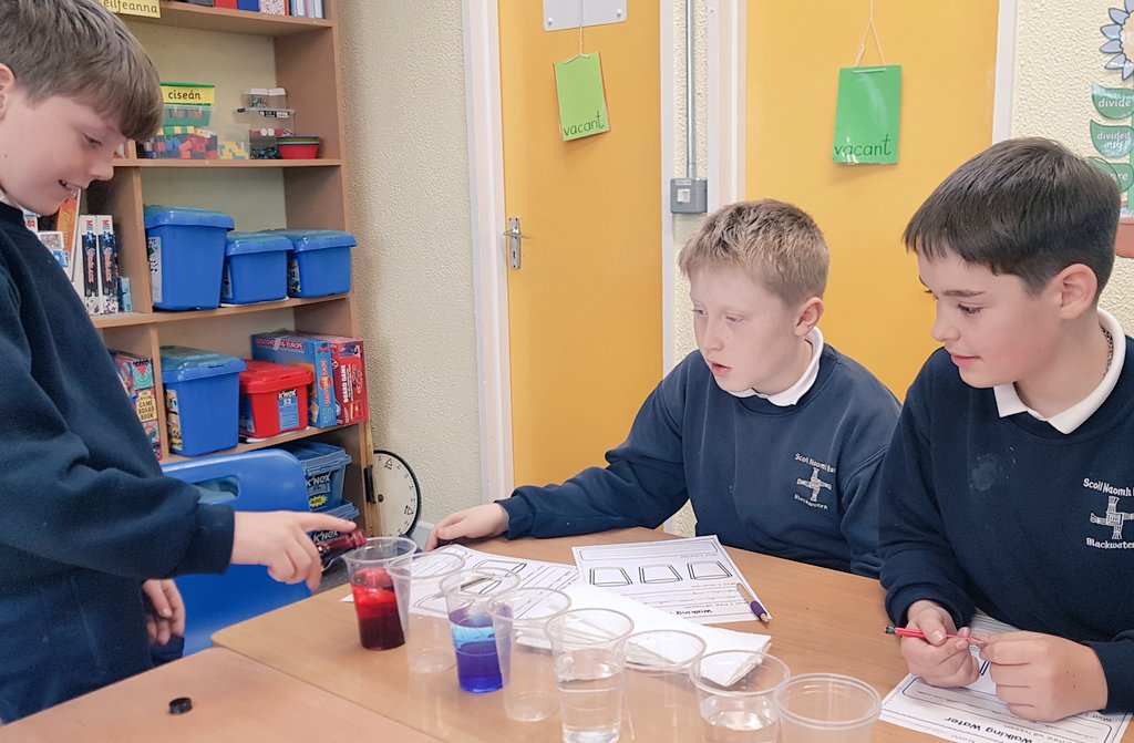 scoilnaomhbride's tweet image. #4thClass examined Capillary Action with the Walking Water experiment #scienceweek2019