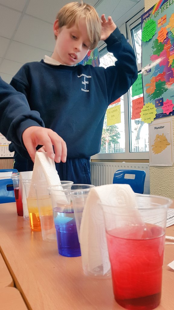 scoilnaomhbride's tweet image. #4thClass examined Capillary Action with the Walking Water experiment #scienceweek2019