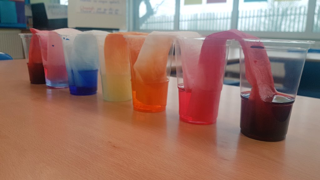 scoilnaomhbride's tweet image. #4thClass examined Capillary Action with the Walking Water experiment #scienceweek2019