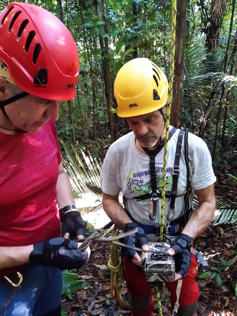 ECOTROP_MNHN's tweet image. D2. Sunny today, so Climbing Virola tree today with #EricGuilbert @UMR_MECADEV. @ReconyxInc #HC600 and #UltraFire