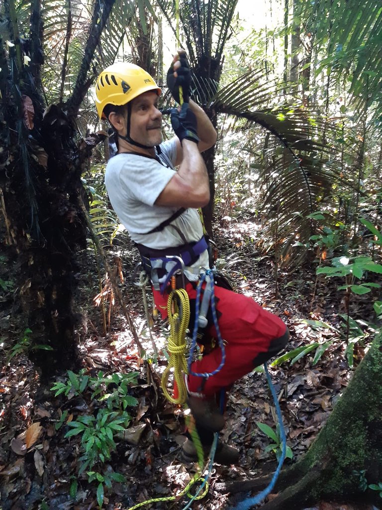 ECOTROP_MNHN's tweet image. D2. Sunny today, so Climbing Virola tree today with #EricGuilbert @UMR_MECADEV. @ReconyxInc #HC600 and #UltraFire
