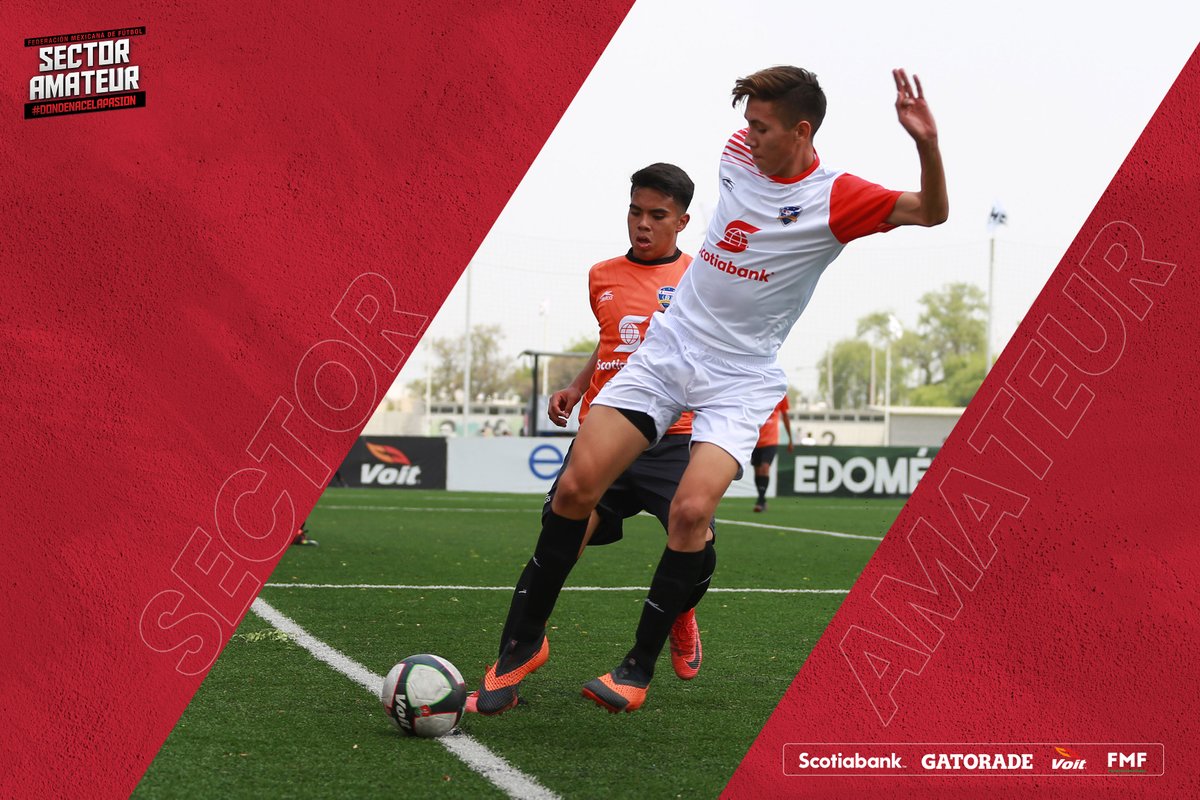 SectorAmateur's tweet photo. ☀️ | #FraseSAm | Martes de fut ⚽️

“La disciplina es el puente entre tus metas y tus logros.”

#DondeNaceLaPasión #FMFPorNuestroFútbol @ScotiabankMX @gatorademex @VoitMexico https://t.co/LtC02QZHZc