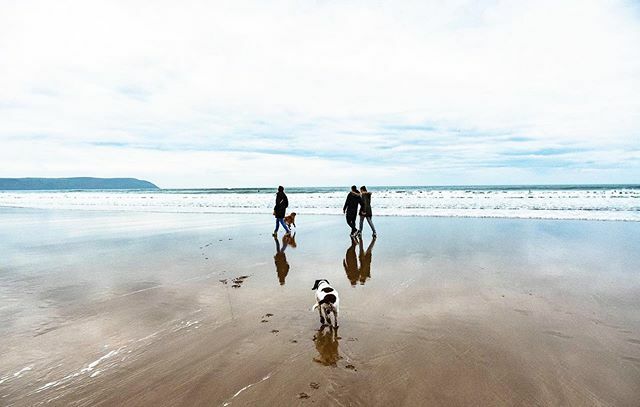 Had a great weekend with these three lovelies. #Woolacombe #WalkingTheDogs #Beach #LivingByTheSea #SouthWestCoastPath #BeachLife #DevonLife #NorthDevon #Seaside #GoldenRetriever #SpringerSpaniel #SandyDogs #LivingByTheSeaside #BristolChannel