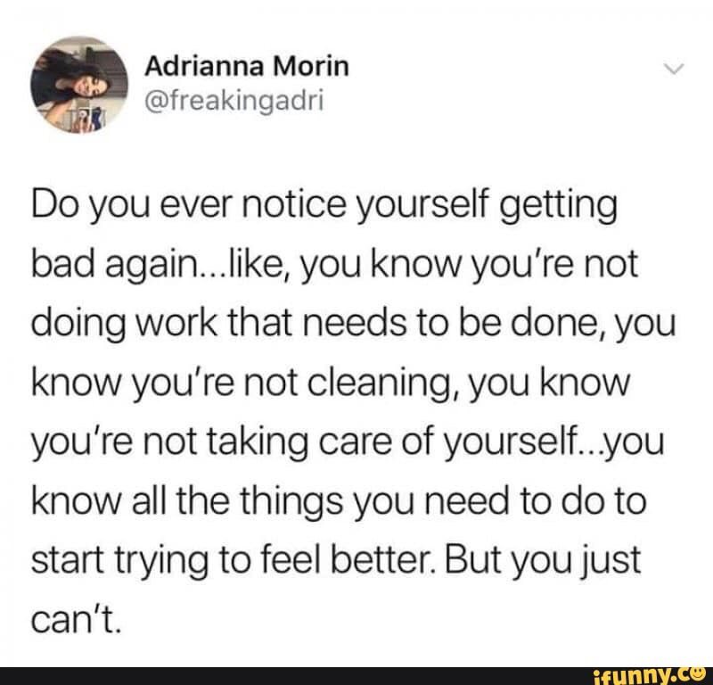 koshka_trishka's tweet photo. #midnightmeme https://t.co/I9j71kgEtD