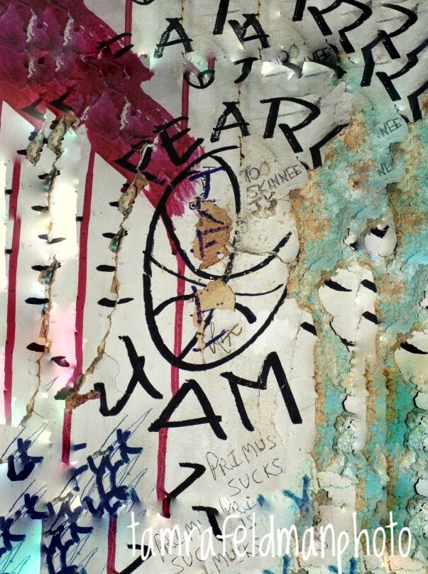 tamfeldman's tweet photo. @PearlJam Unbelievably AMAZING! https://t.co/dJbOsAbsz0