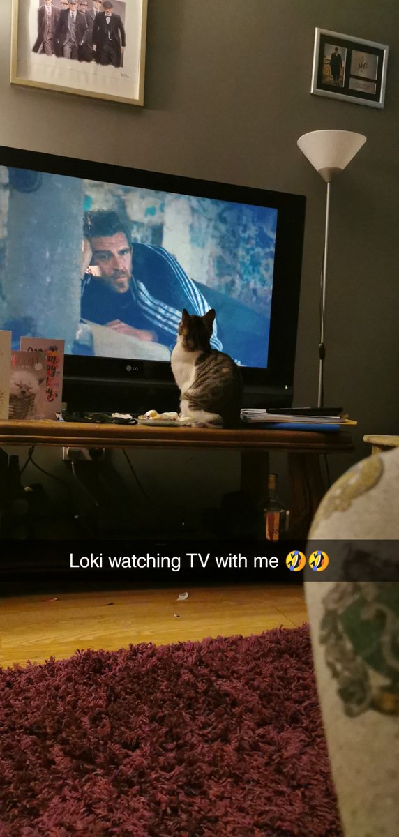 TashaTyson19's tweet photo. Chilling with this one tonight π€£ he's into it just as much as I am π€¦ββοΈπ πΊ #littleloki https://t.co/Heod9qCJqS