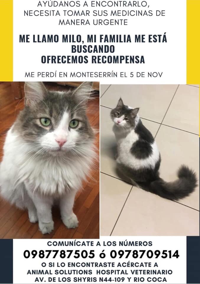 Familia tuitera, solo os pido un RT. Nunca se sabe gasta donde puede llegar esto y unos amigos lo están pasando muy mal. 
¡Gracias! 🙏🏼