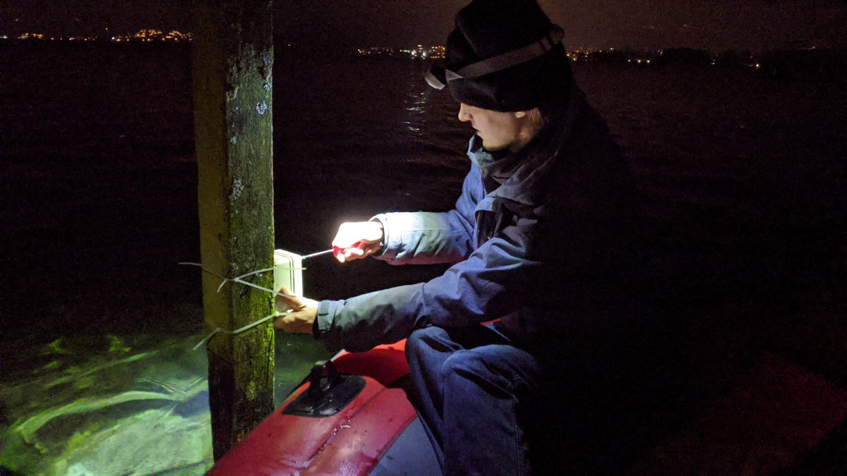 Der Akku des Temperatursensors ist gewechselt! 💪 Ab sofort gibt's auf gfrör.li wieder aktuelle Zürichsee-Wassertemperaturen. 🌡️❄️