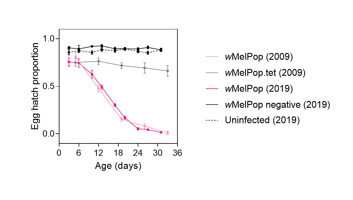 Over ten years after it was introduced into mosquitoes, we show that wMelPop is pretty much as nasty as it used to be. This is the opposite of what happens in Drosophila simulans, where wMelPop attenuated rapidly (5/10)