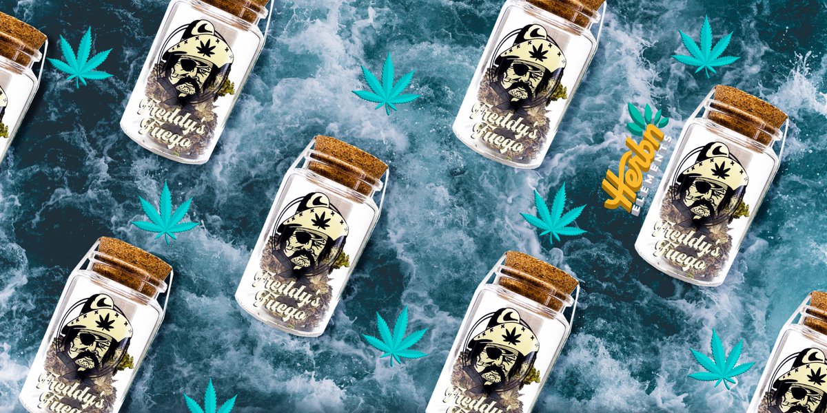 HerbnElements's tweet image. Happy Monday 🖤 🏴‍☠️ Stop by today and SAVE BIG on Dedication OG and Lemon Royale 🍃 by 𝕱𝖗𝖊𝖉𝖉𝖞𝖘 𝕱𝖚𝖊𝖌𝖔 🌊 🏴‍☠️ 
.
.
#freddysfuego #cannabis #dedicationOG #lemonroyale🍋 #pirates #cannabisculture #monday #mondayvibes #seattle #lakecity #pnw #upperleftusa #blackfriday