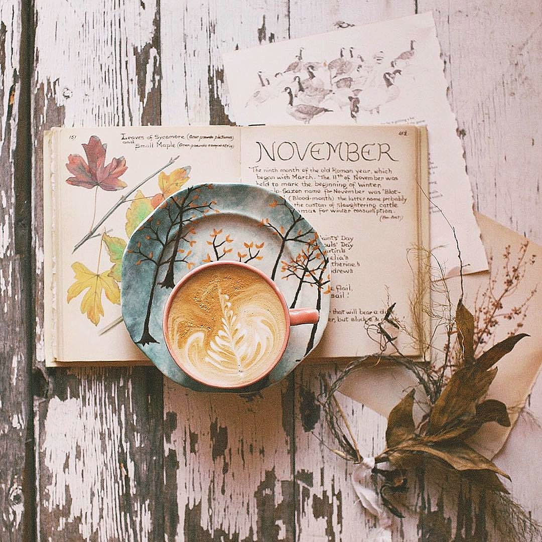 tocamagica's tweet photo. boa tarde e bom comecinho de semana! 🥰☕📖🍃
📷 @ rosie.simplyrosie https://t.co/H80dSJmNcH