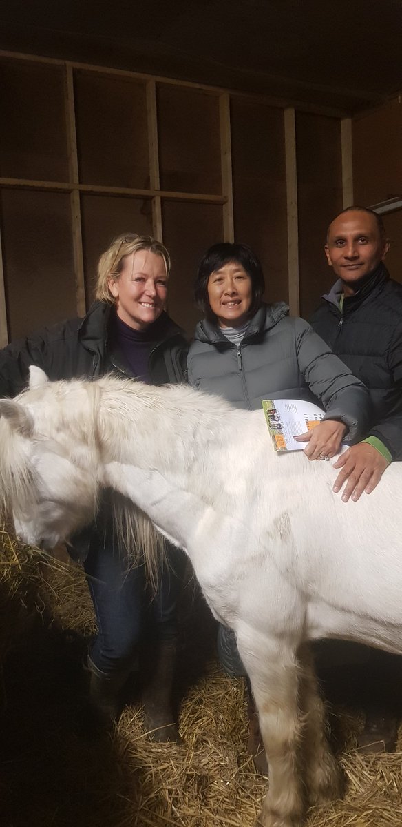 DinaCShale's tweet photo. What a busy day. #Projectpony this morning and a lovely afternoon talking about the magic of what we do with @leic_child_hols
#mentalhealth
#Children
#dinasdaily https://t.co/9IfBUXMuRm