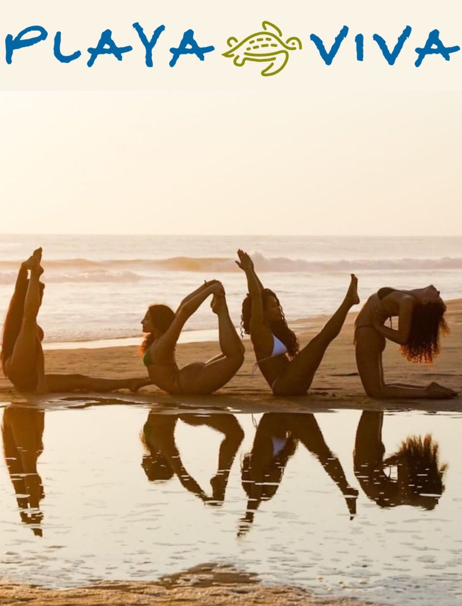 Playa Viva is Feeling the Love… playaviva.wordpress.com/2019/11/25/pla…