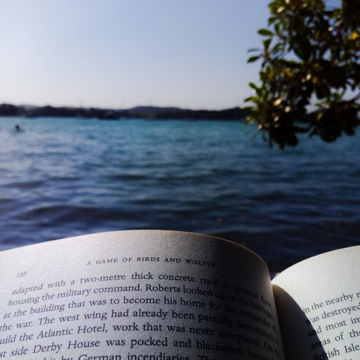 More of this please 📚 @HachetteNZ @SimonParkin ☀ #birdsandwolves #nearlysummer #beachreads #mahurangi