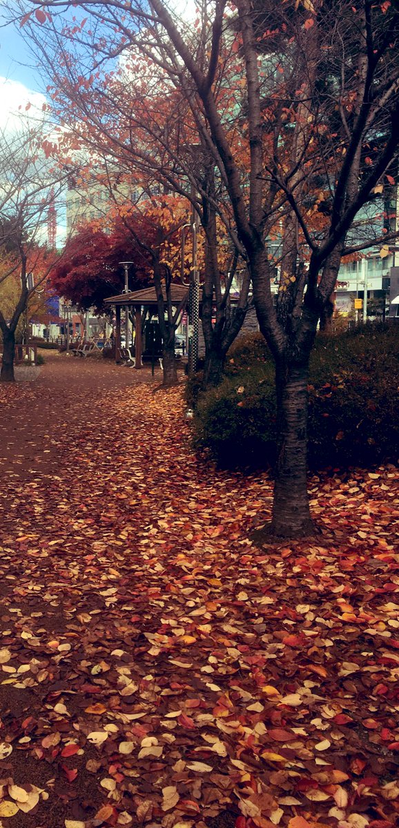 오늘도 내일도 힘낼 수 있길