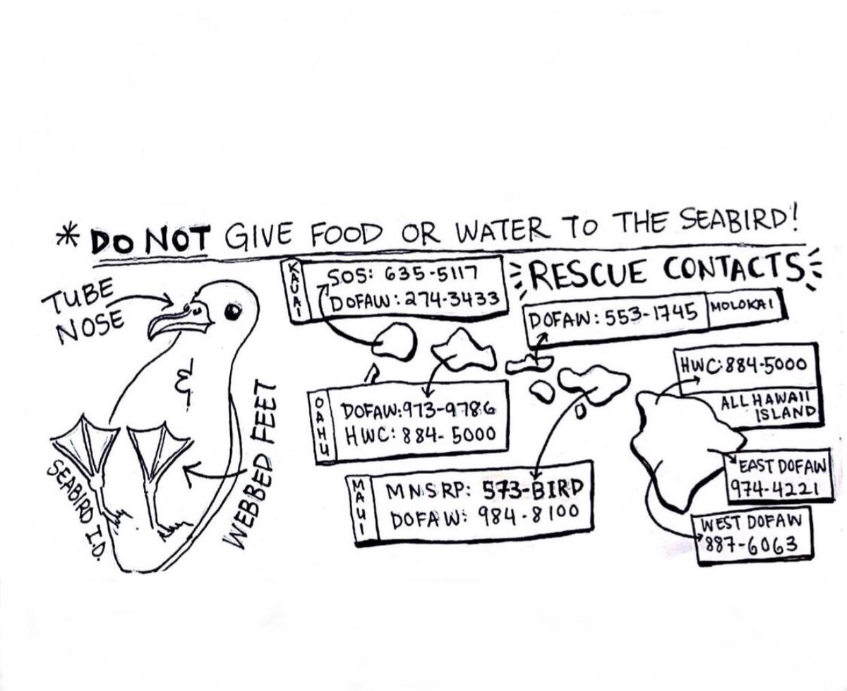 Hawai'i FFA tweet media