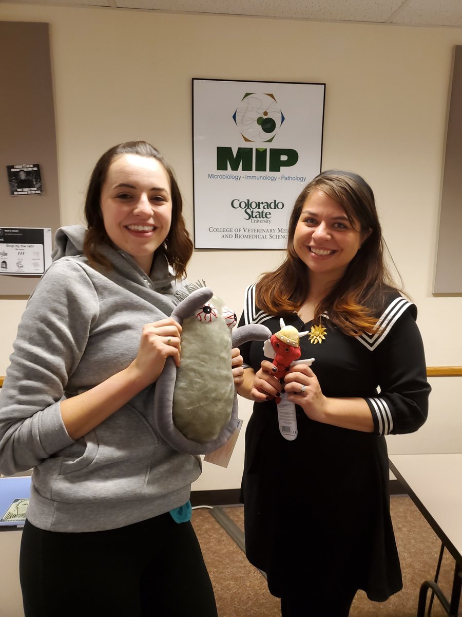 MSBProgram's tweet image. Every year we have a friendly contest where our #microbiology students build a bug to solve an issue. The prize besides a good grade? A @GIANTmicrobes plushie! Morgan and Jordan, part of this year's winning team, show off the "zombie" virus and adrenaline.