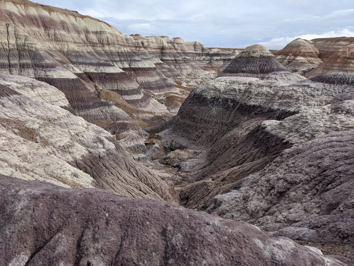 MarcSaegesser's tweet photo. Had a great time hiking @PetrifiedNPS "Off the Beaten Path" hikes with my son. This is from Historic Blue Forest Trail. I loved being able to get away from the ordinary and hike the back country. https://t.co/E3JbGc0Img https://t.co/BhggtyB9MM