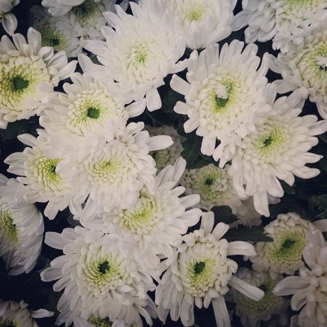 herdle_herdle's tweet photo. 故최진리님 故구하라님의 명복을 빕니다. 여성이기에 그리고 연예인이기에 최전선에서 감당해야했던 모든 것들이 정말 미안합니다. 부디 그 곳에선 편히 쉬시기를. https://t.co/I72SSUV0CH