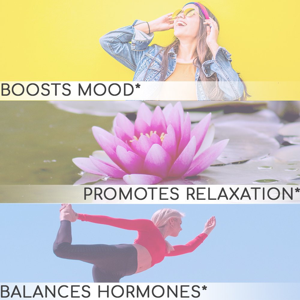 AngrySupps's tweet photo. Say hello to our newest member of the Angry Supps fam 👉 Her Balance! 🙋🏽‍♀️ ...And say goodbye to mood swings, fatigue and irregularities with this new hormone and mood harmonizing blend! 
Get $5 off with promo code HERBALANCE5
#vitamins #supplements #womenshealth #hormonebalance https://t.co/XSRkTKlT7E