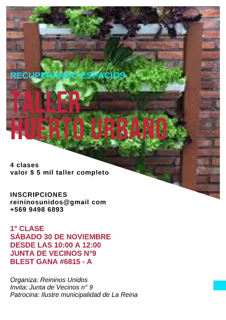 BrickChile's tweet photo. Los invitados al quinto taller de huertos, solo cuatro clases valor único del taller $ 5 mil. Cupos limitados.

Primera clase sábado 30 de noviembre a las 10 a.m. en blest gana 6815 - A Sede junta de vecinos n°9 #lareina @MuniLaReina https://t.co/r2QqsxDmu5
