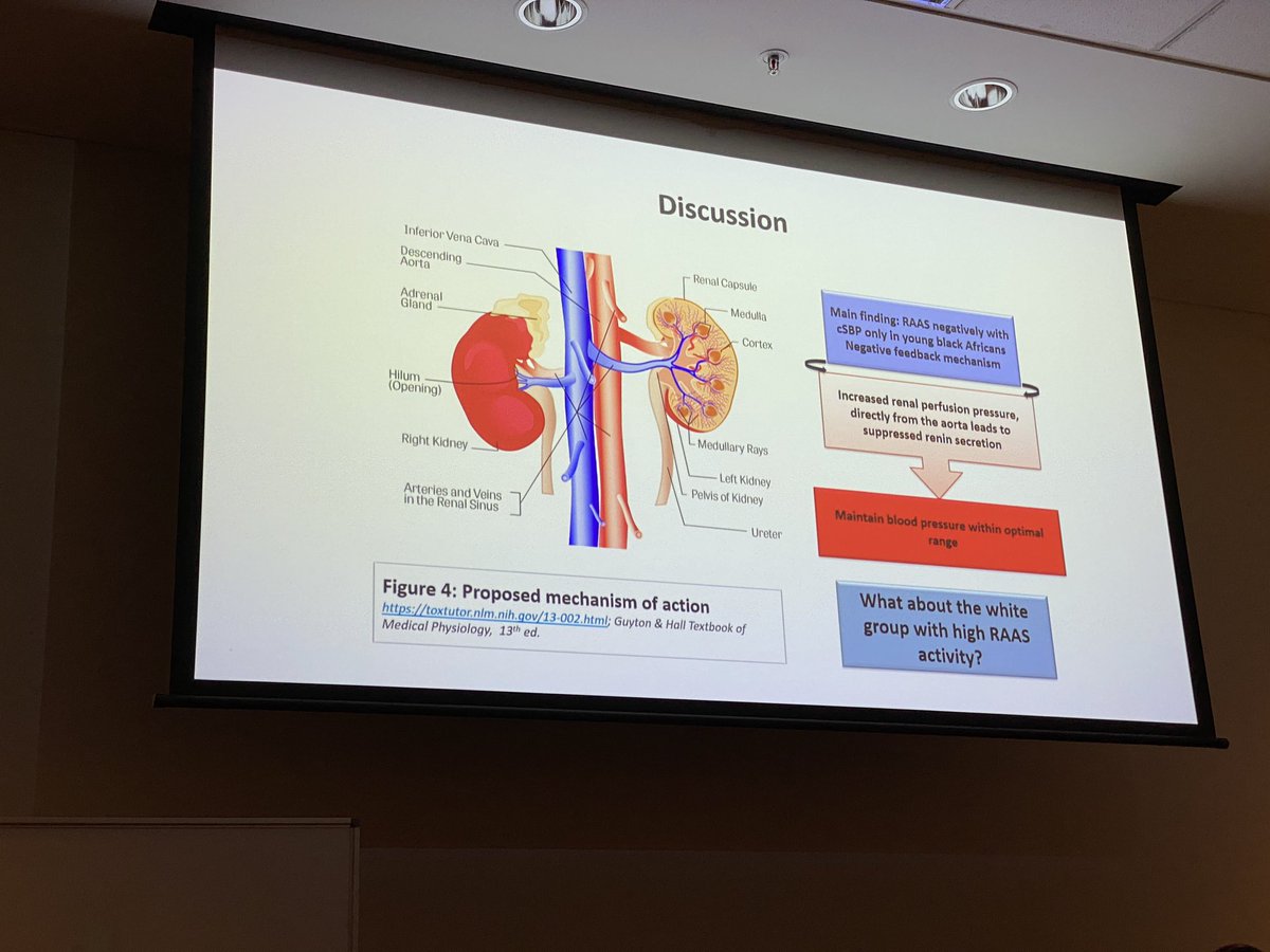 Ruan Kruger, PhD ISHF (@profruankruger) on Twitter photo <a href="/LeboGafaneM_PhD/">A/Prof Lebo Gafane-Matemane</a> presented fascinating data from #SouthAfrica on the #RAAS in black young adults. Why are mechanisms different between ethnicities? #APCH2019 <a href="/2019Apch/">APCH 2019</a> <a href="/ISHBP/">International Society of Hypertension</a> @HBPRCA <a href="/LeboGafaneM_PhD/">A/Prof Lebo Gafane-Matemane</a> presented fascinating data from #SouthAfrica on the #RAAS in black young adults. Why are mechanisms different between ethnicities? #APCH2019 <a href="/2019Apch/">APCH 2019</a> <a href="/ISHBP/">International Society of Hypertension</a> @HBPRCA