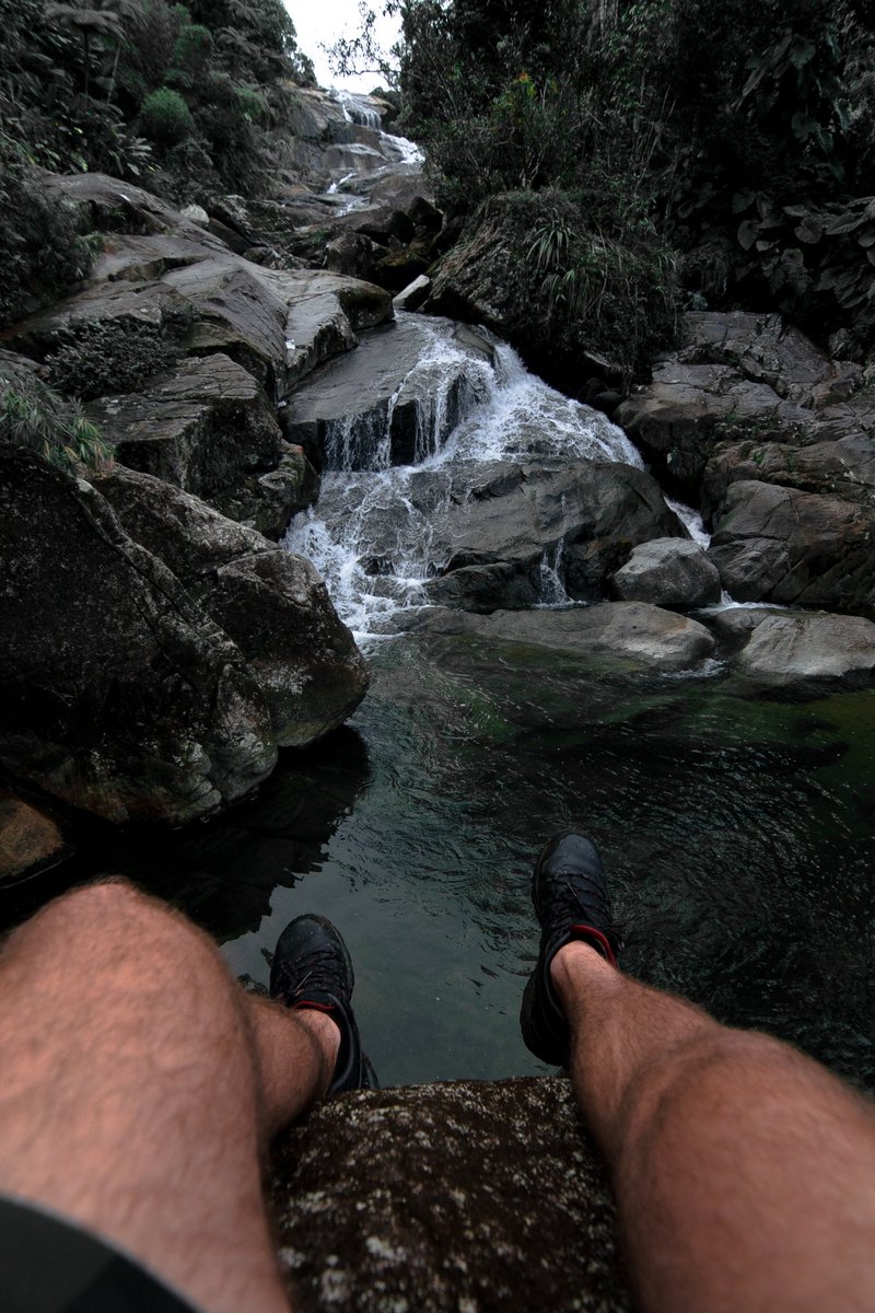 The only tropical rain forest in the U.S. #ElYunque