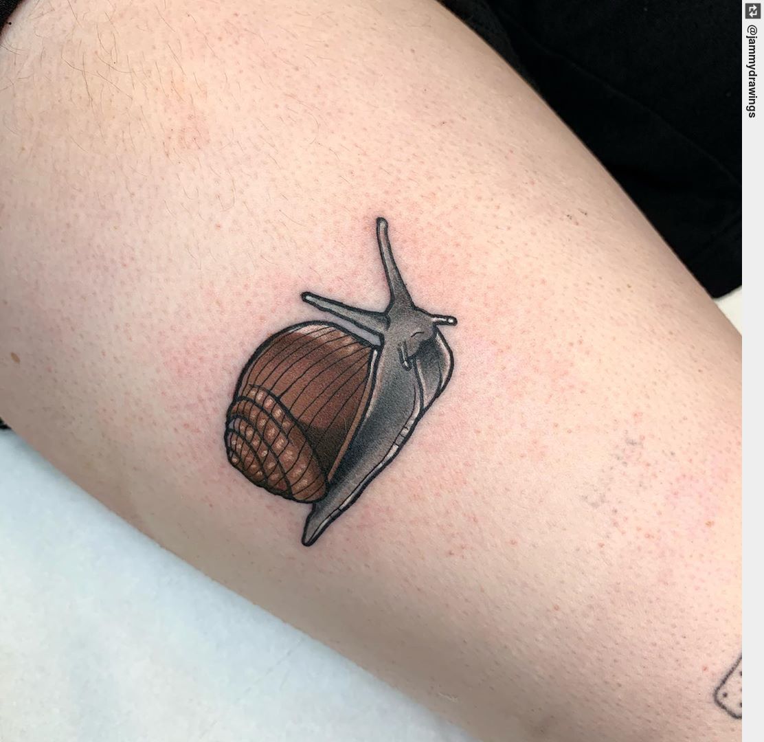 snail tattoo  Snail tattoo Tattoo design drawings Animal tattoos