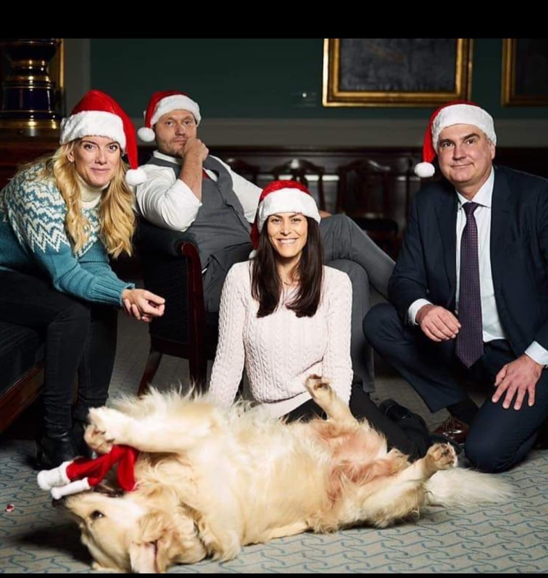 BrianMork's tweet photo. Nye Borgerlige dræber hunde. Sig det videre. https://t.co/5HcdRs0EBL