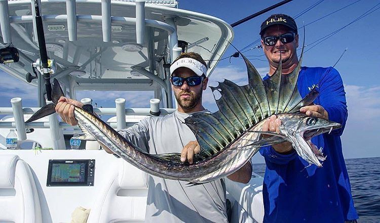 IsolatedOutdoor's tweet image. Looks like an alien for sure! 😮 
#alien #alienfish #ocean