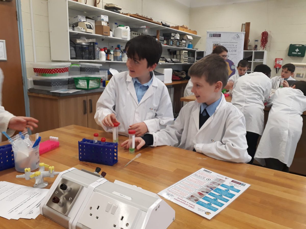 bishopfoleyns's tweet image. Room 8 Super Cell Explorers @itcarlow #ScienceWeek2019