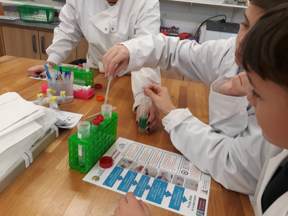 bishopfoleyns's tweet image. Room 8 Super Cell Explorers @itcarlow #ScienceWeek2019