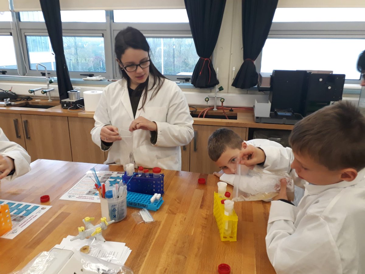 bishopfoleyns's tweet image. Room 8 Super Cell Explorers @itcarlow #ScienceWeek2019