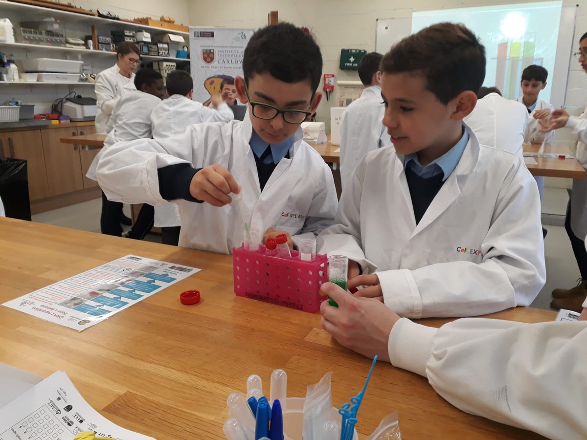 bishopfoleyns's tweet image. Room 8 Super Cell Explorers @itcarlow #ScienceWeek2019
