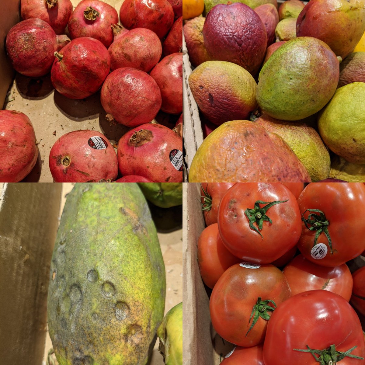 MakingFriendsDT's tweet image. Just another reminder that fresh is not a frill!! 
New Hamburg ON location, Nov 25
@nofrillsCA