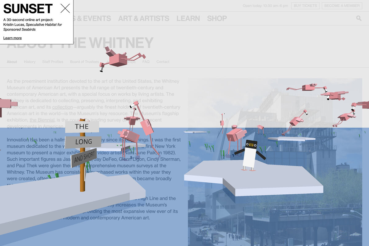 NEWINC's tweet photo. Each day at sunrise and sunset, NEW INC member Kristin Lucas's "Speculative Habitat for Sponsored Seabirds" transforms the @whitneymuseum site into a environment for animated seabirds—stand-ins for real birds sponsored by the artist through @tourduvalat: https://t.co/T3RulfFM2x https://t.co/cpu5Ku3MoR