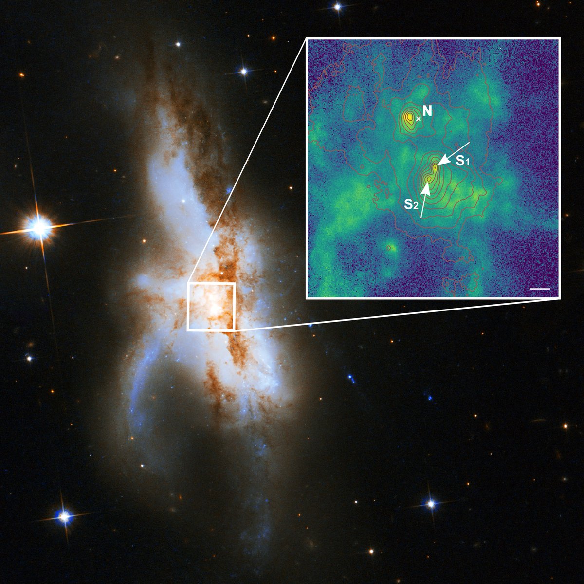 mediainaf's tweet photo. Tripletta di #buchineri #supermassicci per una sola galassia: succede nel cuore di #NGC6240, in direzione della costellazione dell'#Ofiuco https://t.co/W0EPZhl3FQ #MUSE #VLT @ESO https://t.co/ybaRCwKE76