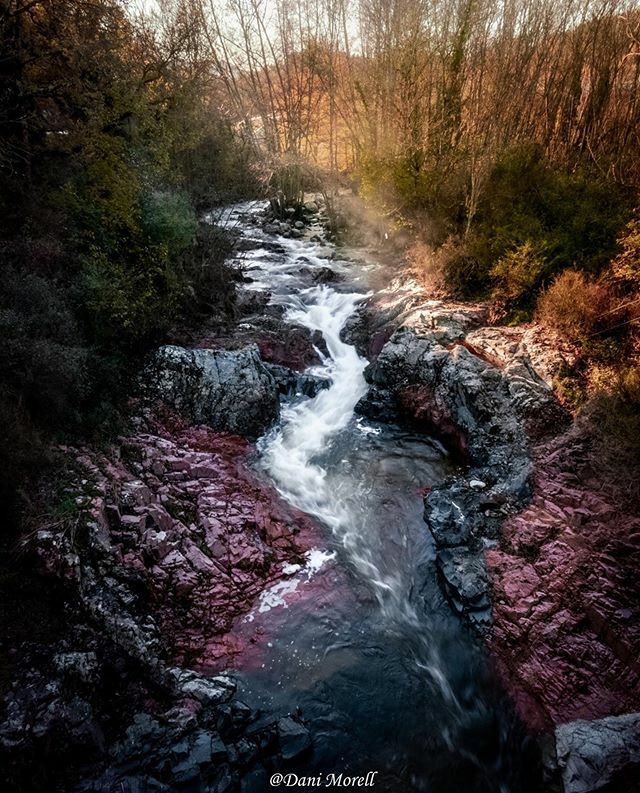 L'#InstantDestaCat que hem seleccionat avui és aquesta imatge de <a href="/danimp/">Danielle Poole</a>.63. Moltes gràcies, Dani, per les teves fotos i per compartir-les amb nosaltres!
💜❤️💛💚💙
.
👉🏻Recordeu: si voleu ser mencionats, seguiu-nos i etiqueteu amb #igerscatalonia i #iger… ift.tt/2rrIGeA