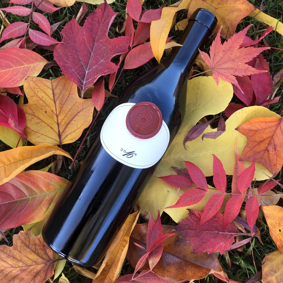 BuccellaWines's tweet photo. The vibrant colors of #autumn in the #Napa Valley are the perfect backdrop for #Buccella wines, setting the mood for the Thanksgiving holiday week! #BuccellaWines #Wine #YouCanSipWithUs #NapaValley #VisitNapaValley #DoNapa #CabernetSauvignon #RedWine #LuxuryWine #Wines #Winery https://t.co/DEIF5YGHph
